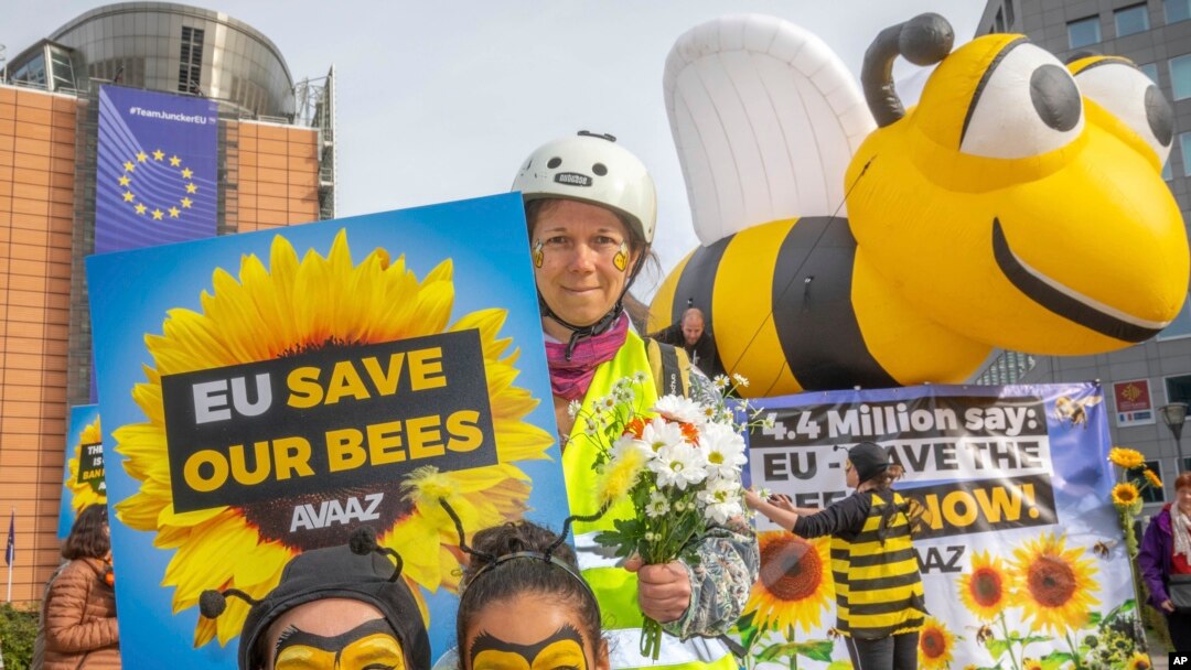 Warga Belgia, keluarga dan pecinta lebah berunjuk rasa menjelang pemungutan suara Uni Eropa terkait pelarangan pestisida neonicotinoid  di Place Schuman, Brussels, Belgia, Jumat, 27 April 2018. 