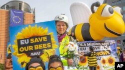 Warga Belgia, keluarga dan pecinta lebah berunjuk rasa menjelang pemungutan suara Uni Eropa terkait pelarangan pestisida neonicotinoid  di Place Schuman, Brussels, Belgia, Jumat, 27 April 2018. 