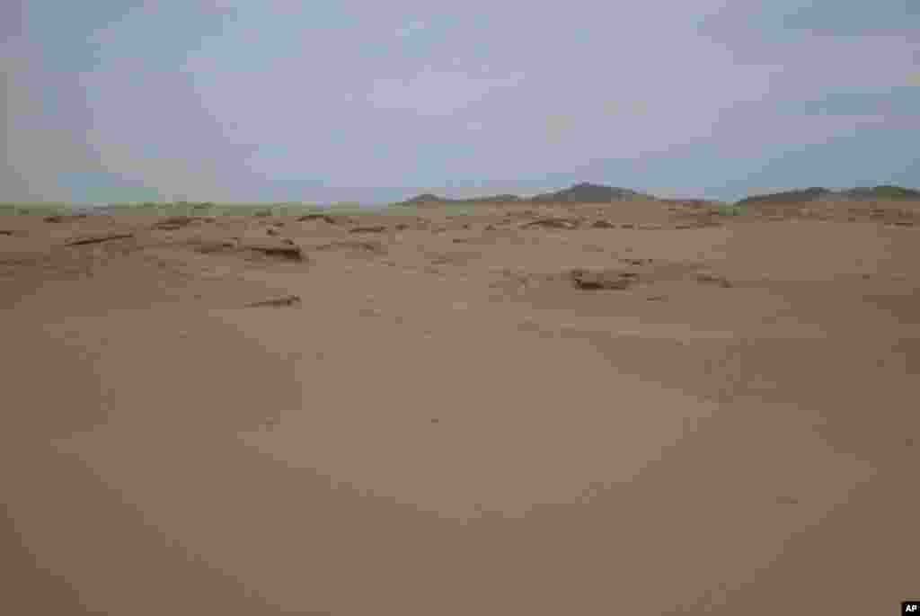 2000年的時候中國內蒙古科爾沁地區廣大面積的土地是荒蕪的沙漠