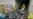 16x9 Image