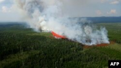 Gambar tanggal 24 Juli 2023 yang dirilis oleh otoritas pemadam kebakaran provinsi British Columbia, Kanada, menunjukkan sebuah pesawat pemadam kebakaran berjuang melawan kebakaran hutan Townsend Creek, sebelah selatan Baker Creek, British Columbia, Canada.