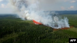 Picha ya maktaba ya msitu unaochomeka. British Columbia Julai 24, 2023.