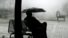 FILE - A homeless man shelters from the rain under a tree outside the Federal Court building in Washington.