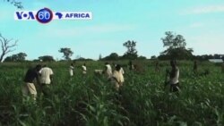 VOA60 Africa