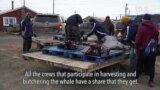 Whaling in Alaska