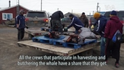 Whaling in Alaska