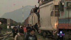 美国民众接纳非法入境中美洲儿童吗？