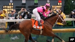 Maximum Security, no correrá el Preakness Stakes, la segunda joya de la Triple Corona hípica, y su propietario apelará su descalificación como ganador del Derby de Kentucky.