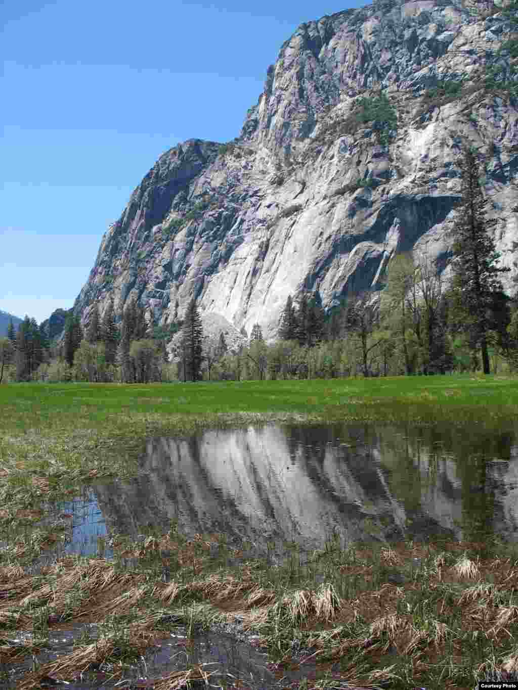 Perubahan iklim dan suhu yang lebih panas berdampak pada semua lanskap, termasuk ekosistem padang rumput di Taman Nasional Yosemite, California. (Ben Young Landis/USGS) 