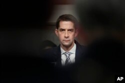 Tom Cotton é senador do Arkansas