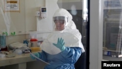 A laboratory specialist examines specimens of the Ebola virus at the Uganda virus research centre in Entebbe, 40km (25 miles) south from capital Kampala May 17, 2011. 