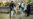 World Food Prices Fall for Fourth Consecutive Year, UN Agency Says