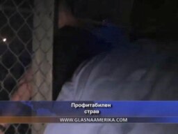Профитабилен страв