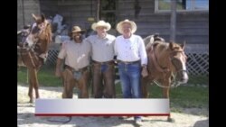 看天下:美风能协会争取延长税收抵免