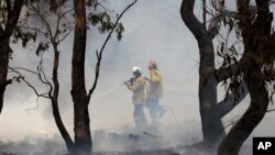 Firefighters control a spot fire near Bredbo, south of the Australian capital, Canberra, Feb. 2, 2020. 