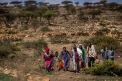 FILE - People walk from a rural area toward a nearby town where a food distribution site operated by the Relief Society of Tigray was taking place, near Agula, in the Tigray region of northern Ethiopia, May 8, 2021.