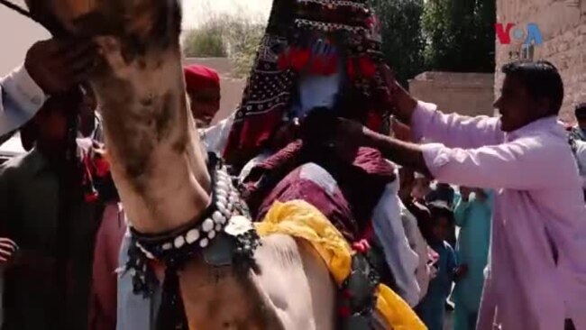 سندھ میں کم عمری کی شادیاں، ٹیبلو شوز کے ذریعے آگہی مہم سندھ میں کم عمری کی شادیاں، ٹیبلو شوز کے ذریعے آگہی مہم