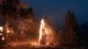 Sprawling Oregon Wildfire, Largest of Dozens in US, Continues to Grow