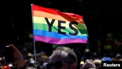 Supporters of the "Yes" vote for marriage equality celebrate, Nov. 15, 2017, after it was announced the majority of Australians support same-sex marriage in a national survey. Saturday the first two couples wed.