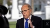 White House chief economic adviser Larry Kudlow speaks during a television interview at the White House, Friday, April 10, 2020, in Washington. (AP Photo/Alex Brandon)