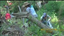 လော့စ်အိမ်ဂျယ်လိစ် မြစ်ကြောင်းရှင်းလင်းရေး