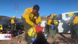 Bomberos mexicanos apoyan el combate a los incendios en Los Ángeles