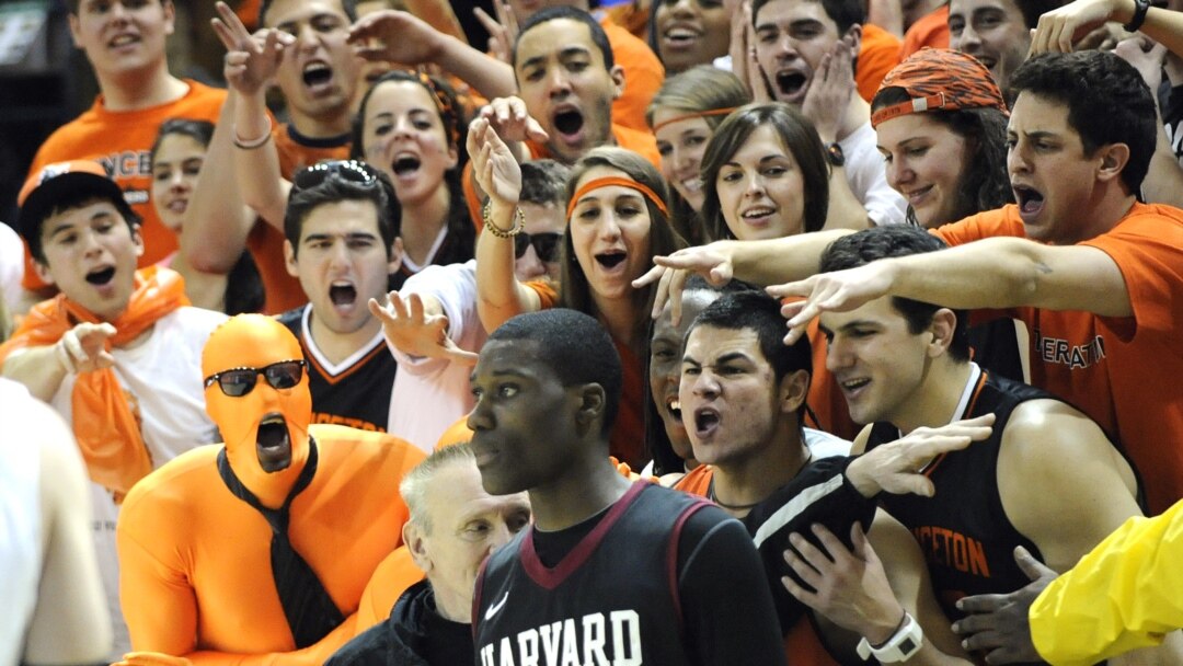 Princeton and Harvard are consistently ranked as top universities. 