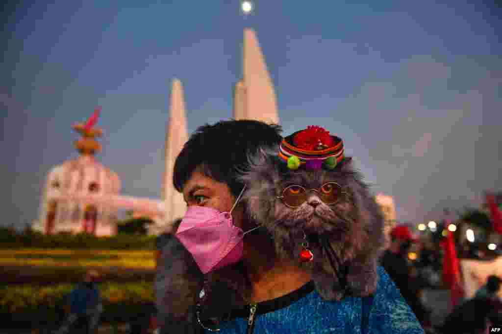 A protester carries a cat during a demonstration calling for the resignation of Thailand&#39;s Prime Minister Prayut Chan-O-Cha over the government&#39;s handling of the Covid-19 crisis in Bangkok.