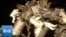 SM_SpaceWalk