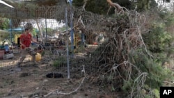 Un homme dégage un arbre tombé dans une cour d'école à cause de roquettes et d'obus de mortier, près de la frontiere israelienne, le 29 mai 2018.