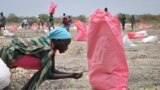 FILE - A woman scoops fallen sorghum grain off the ground after an aerial food drop by the World Food Program (WFP) in the town of Kandak, South Sudan, May 2, 2018. 