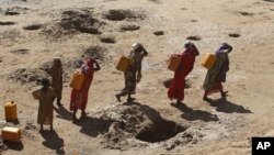 FILE - Women carry jerry cans of water from shallow wells dug in the sand along the Shabelle River bed, which is dry due to drought in Somalia's Shabelle region, March 19, 2016.