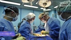 ტექნოლოგიურმა სიახლემ შეიძლება კიბოს ამოცნობა დააჩქაროს