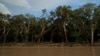 FILE - Trees stand on the edge of Tonle Sap lake, forming part of the surrounding forest, much of which has been logged or burned, in Siem Reap province, Cambodia, Aug. 2, 2024. Journalist Chhoeung Chheng was shot Dec. 4, while investigating deforestation in the area.