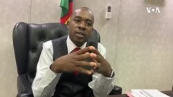 Mutungamiri weMDC VaNelson Chamisa Votaura neStudio7