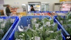 Local spinach on sale at a farmers cooperative in Nihonmatsu, Fukushima prefecture, where many still shun regional produce, March 7, 2012.
