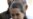 Election Loss Will Not Damage Government, Says India Congress Party Leader