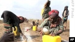 The Importance of Fresh Water