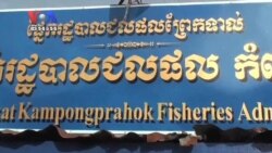 As Tonle Sap Fish Dwindle, Illegal Catches Persist (Cambodia news in Khmer)