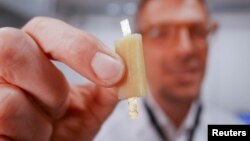 Senior researcher Mario Caironi shows a rechargeable edible battery made from food in Milan