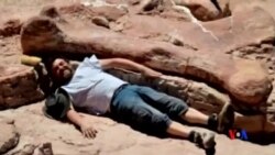 2014-05-20 美國之音視頻新聞: 阿根廷發現恐龍之王化石