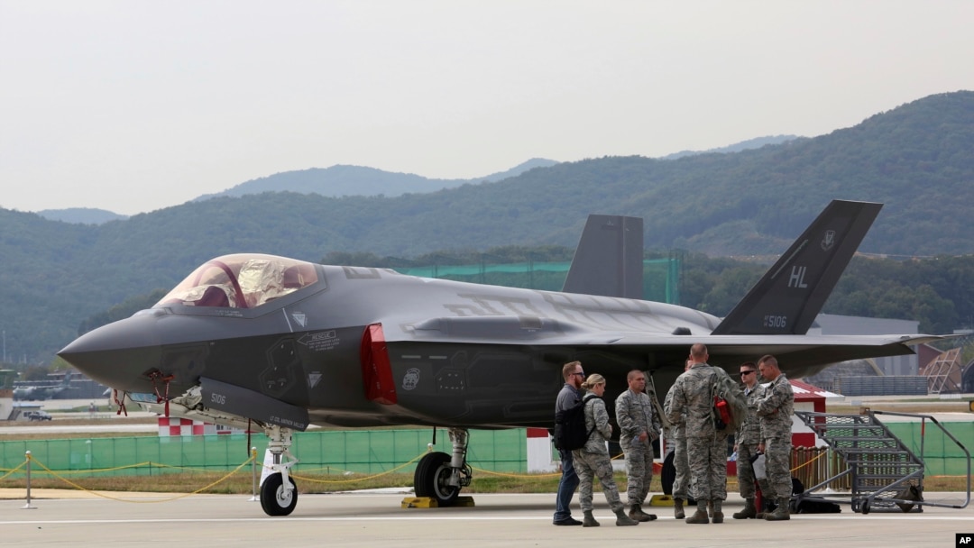 US Stealth Fighter Suffers Millions in Damage from Bird Strike