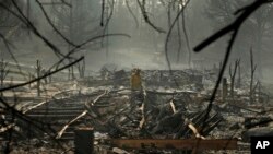 산불이 발생한 미국 캘리포니아주 파라다이스시에서 소방대원이 16일 시신을 수색하고 있다. 
