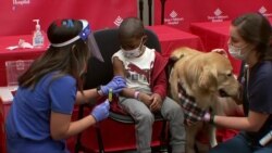 Beragam Respons terhadap Vaksinasi Anak Usia 5-11 tahun