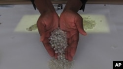 A fistful of diamonds held by Dina Muhimba as she sorts gemstones at the Namibia Diamond Trading Company in Windhoek, Namibia, in this photo dated Wednesday, June 14, 2017. 