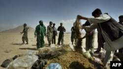 ООН: в Афганистане резко выросло производство опиума