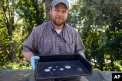 This photo, provided by the U.S. Military Academy at West Point, Aug. 30, 2023, shows West Point archeologist Paul Hudson displaying coins found in the lead box believed to have been placed in the base of a monument by cadets almost two centuries ago, in West Point, NY. (U.S. Military Academy at West Point via AP)