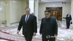 اخبار شامگاهی