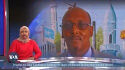 Wareysi: Xildhibaan Daahir Amiin Jeesow