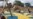 Arsitek Indonesia Rancang Playground Terbaik Selandia Baru